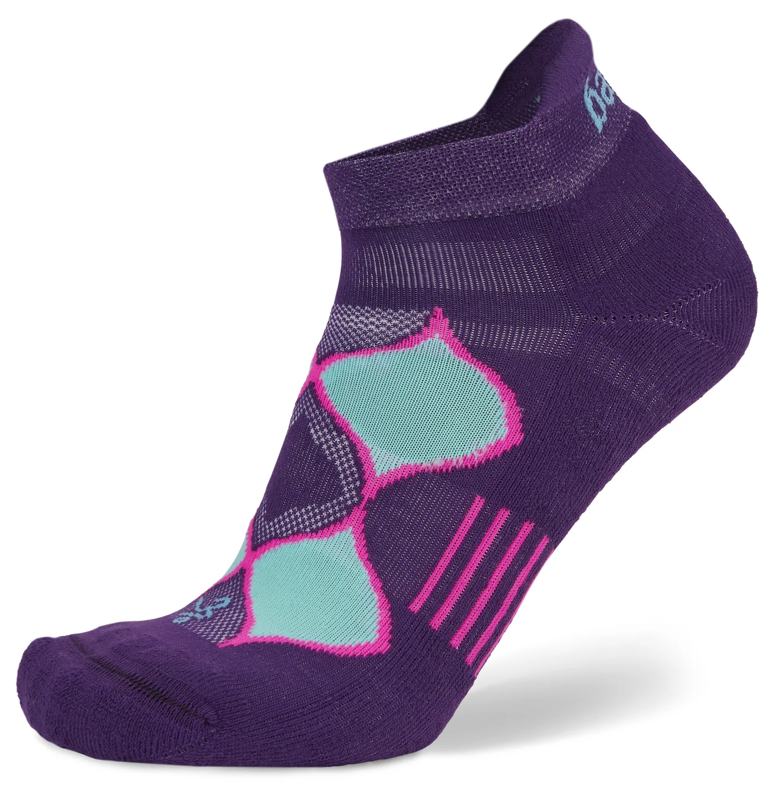 Purple/Watermelon